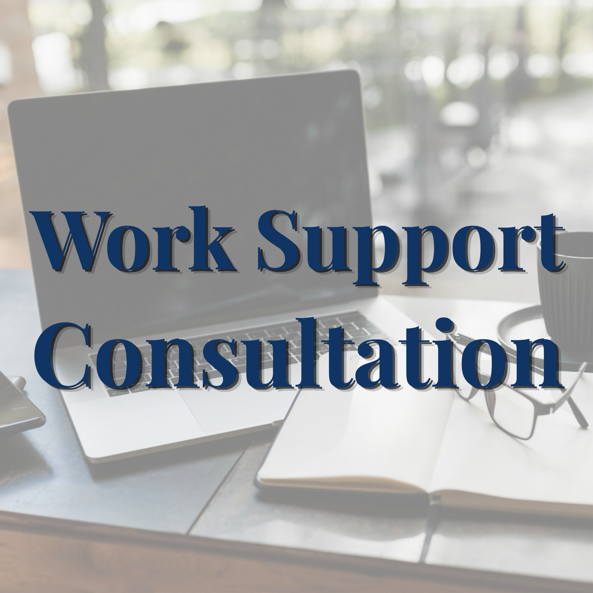 Schedule a Work Support Consultation